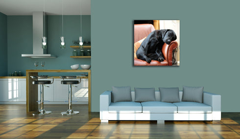JUMBO ART - AFTER THE WALK - HUGE 1 Metre Square Canvas